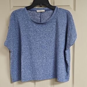 Blue Short Sleeve Cropped Top